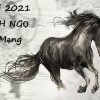 tu-vi-2021-canh-ngo-1990-nu-mang-1-min